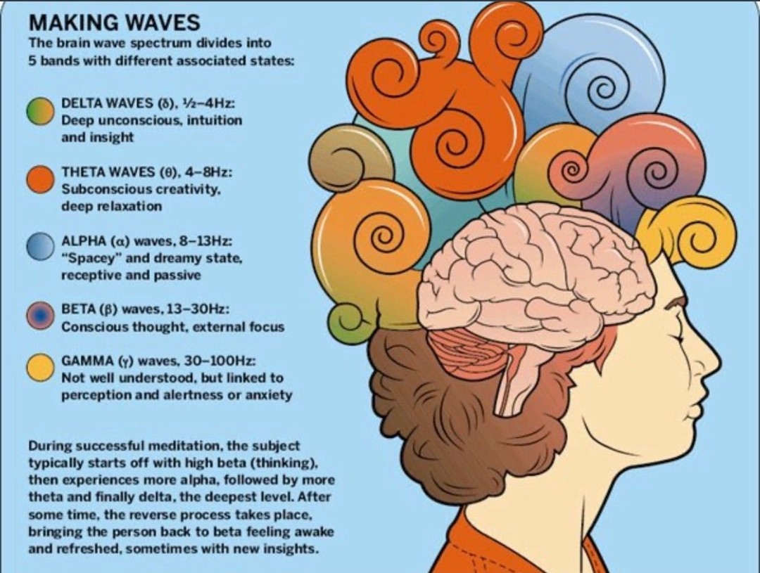 Тете волны мозга