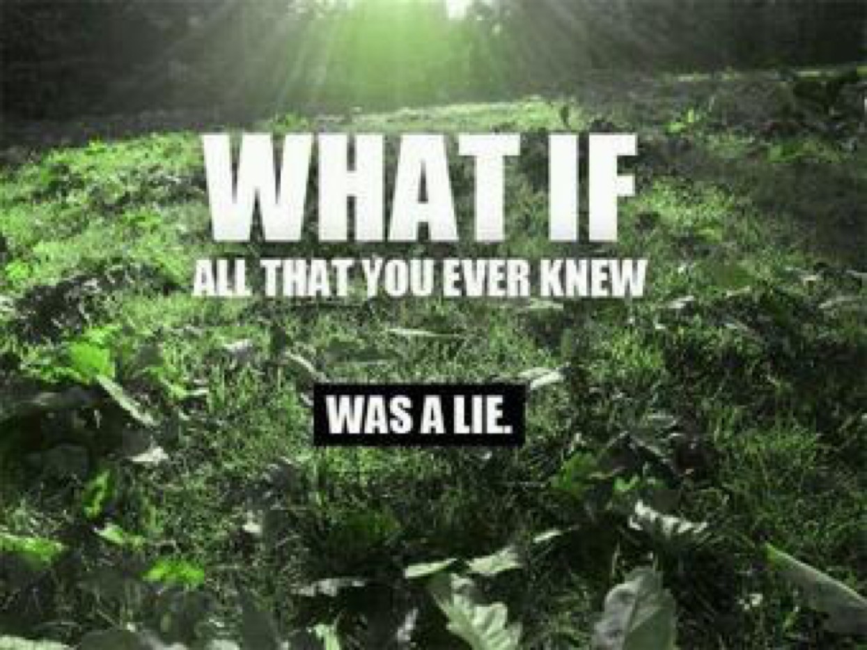 Life is a lie. Everything is a Lie. You know everything. Whatif.